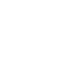 Netball